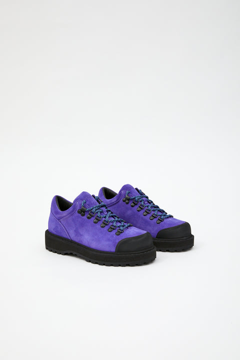 Cornaro Prince Purple