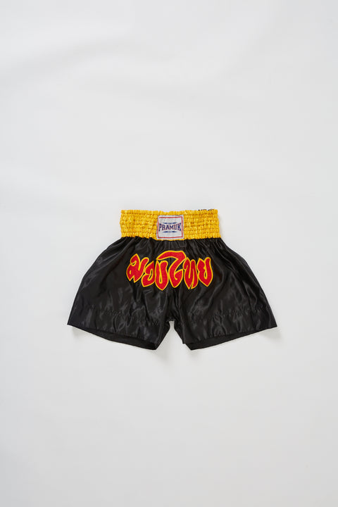 Muay Thai Shorts (W27)