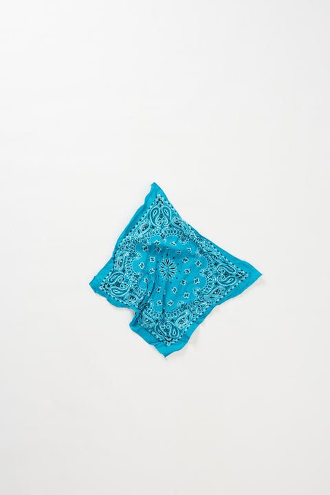 Have-A-Hank Bandana (OneSize)