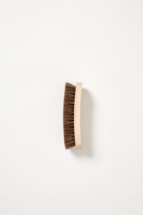 Shoe Brush